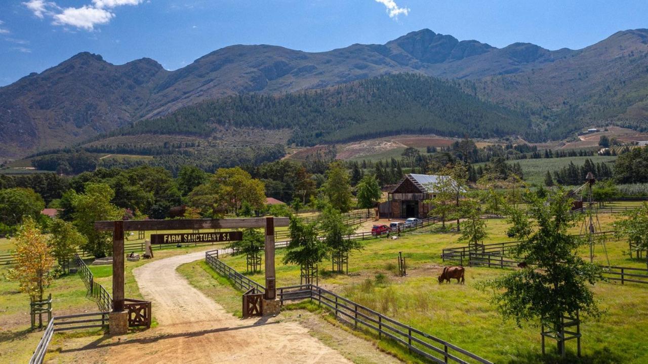 Inspiring Farm Sanctuary And Famous Painting Pig Hotel Franschhoek Luaran gambar
