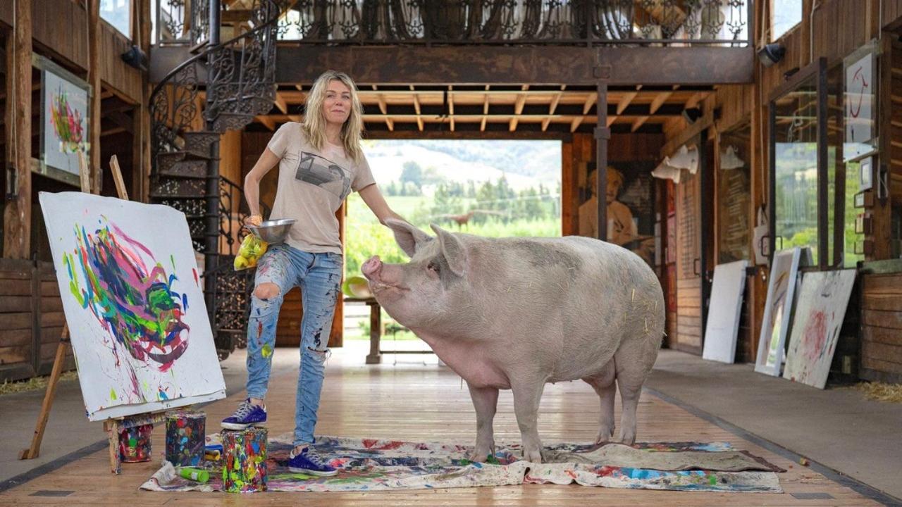 Inspiring Farm Sanctuary And Famous Painting Pig Hotel Franschhoek Luaran gambar