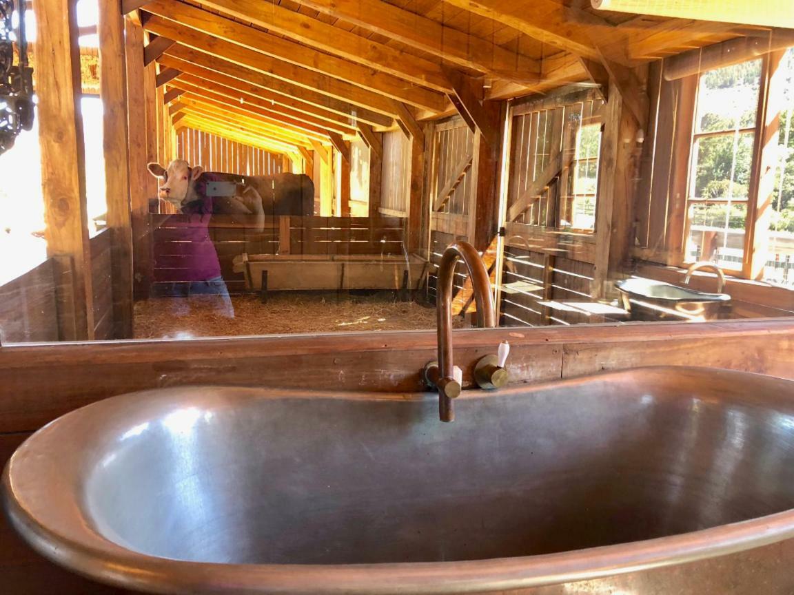 Inspiring Farm Sanctuary And Famous Painting Pig Hotel Franschhoek Luaran gambar